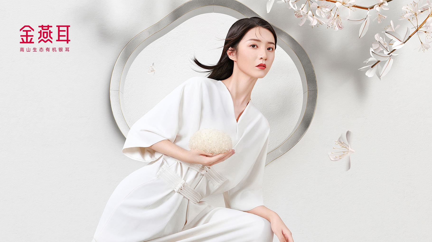 金燕耳品牌形象及产品包装焕新