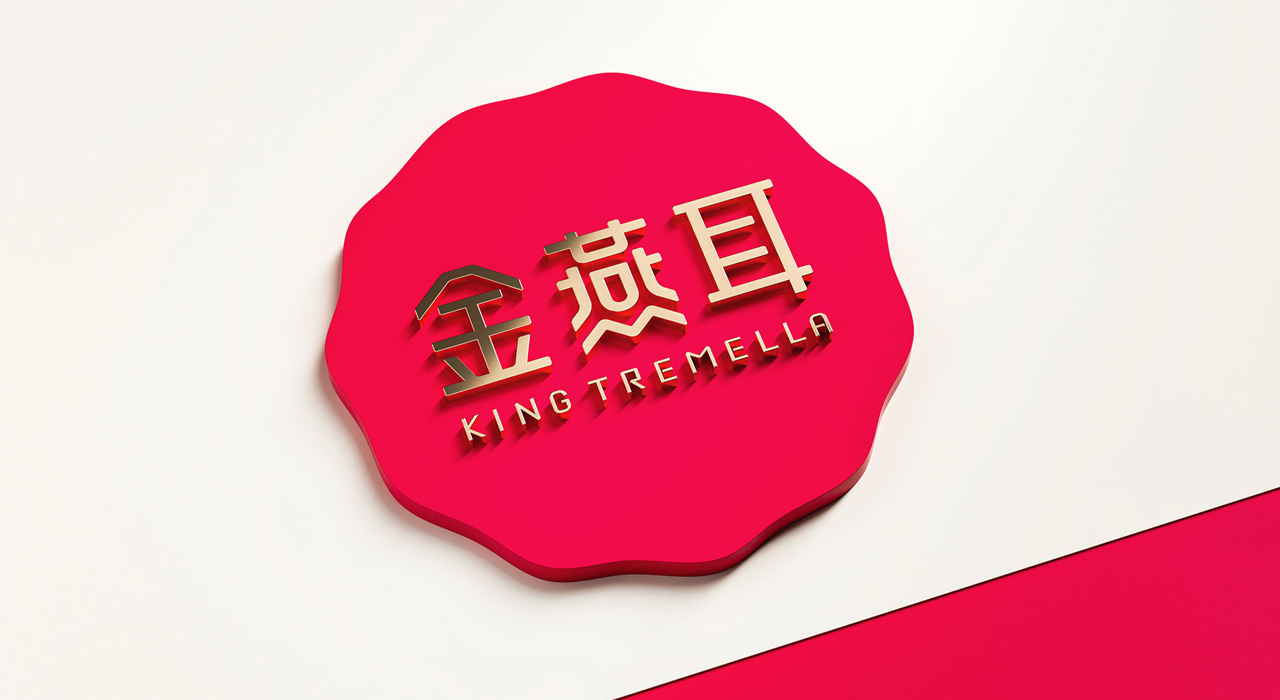 金燕耳银耳品牌LOGO和VI设计