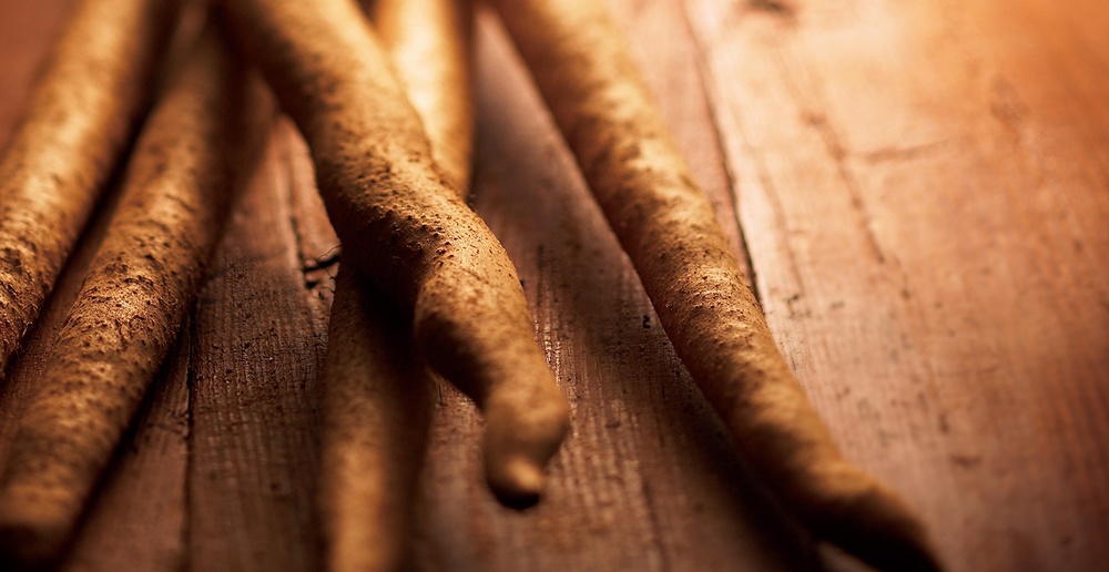 面条形象字体设计 面条形象字体设计