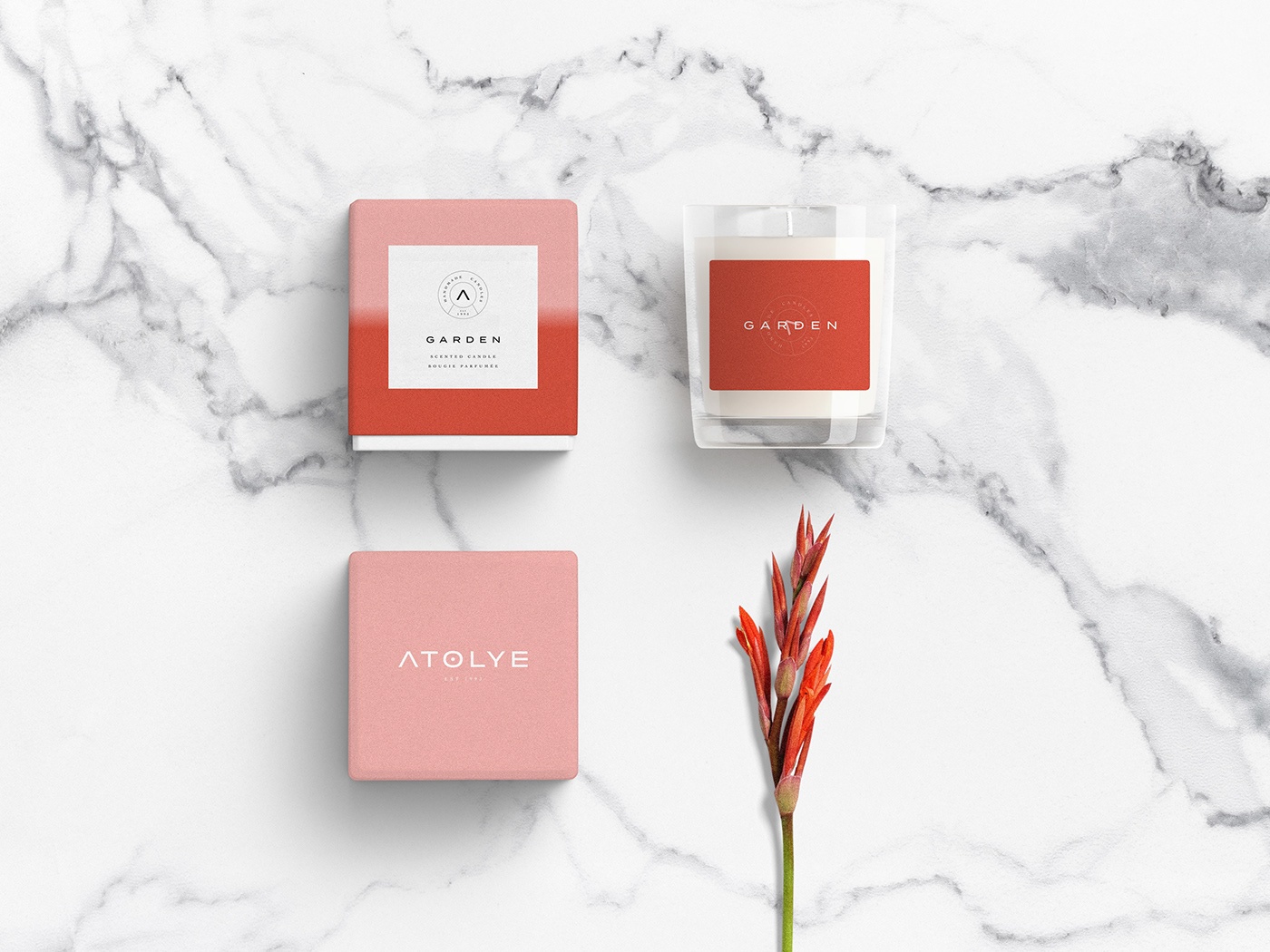 包装形象视觉设计 包装形象视觉设计