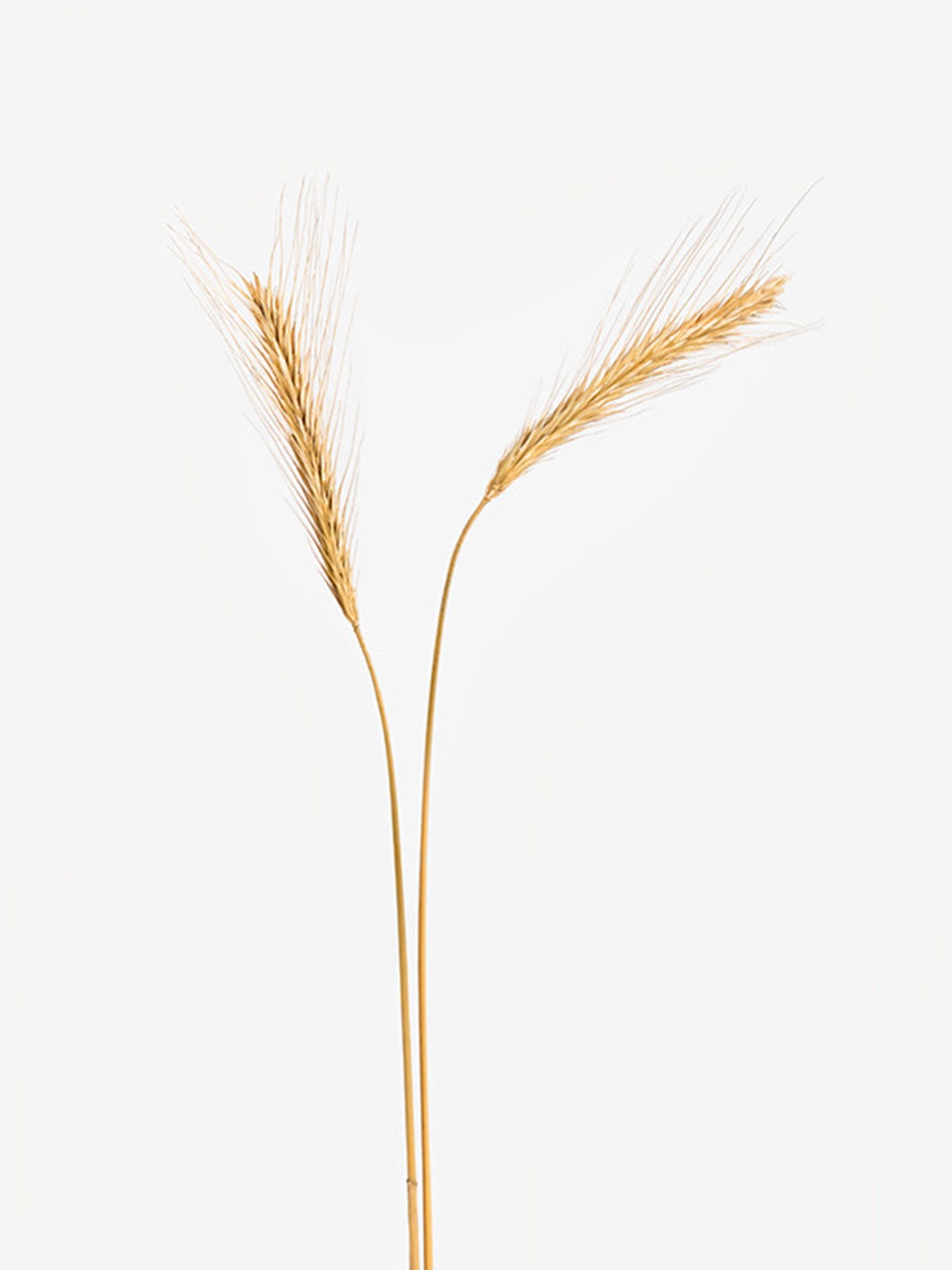 极简包装形象设计 极简包装形象设计