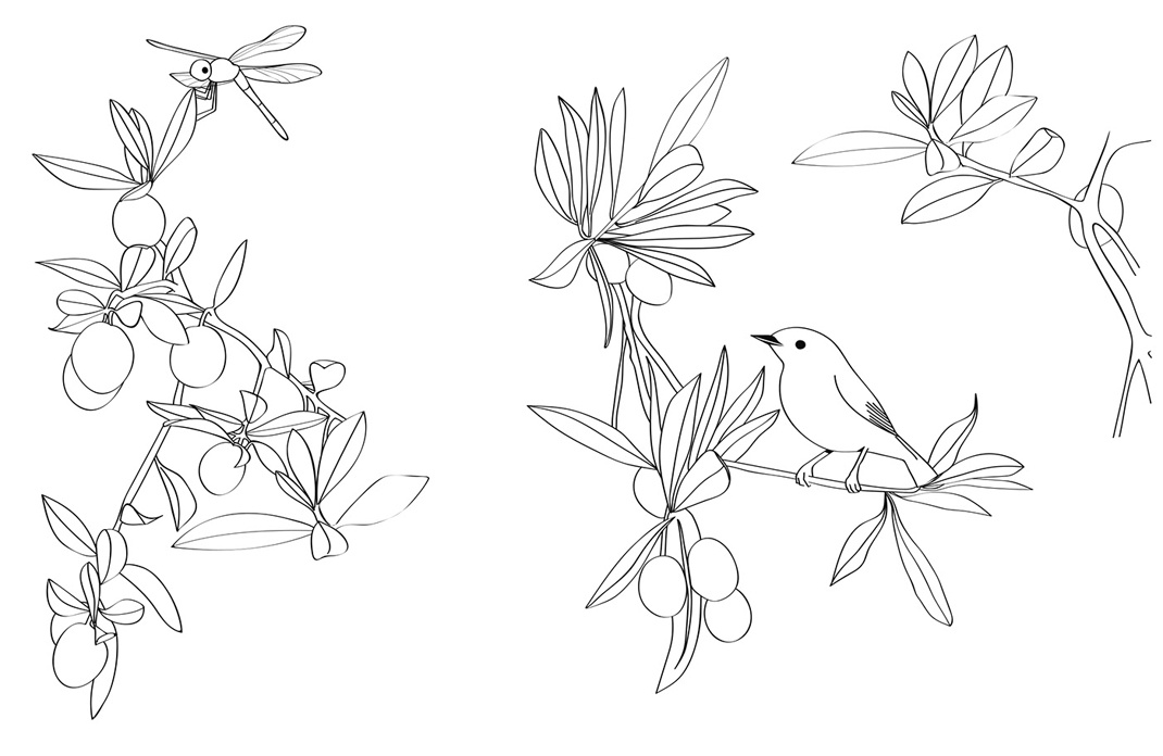 包装设计欣赏 包装设计欣赏