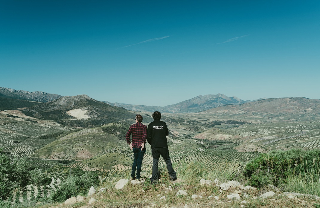 橄榄油包装设计 橄榄油包装设计