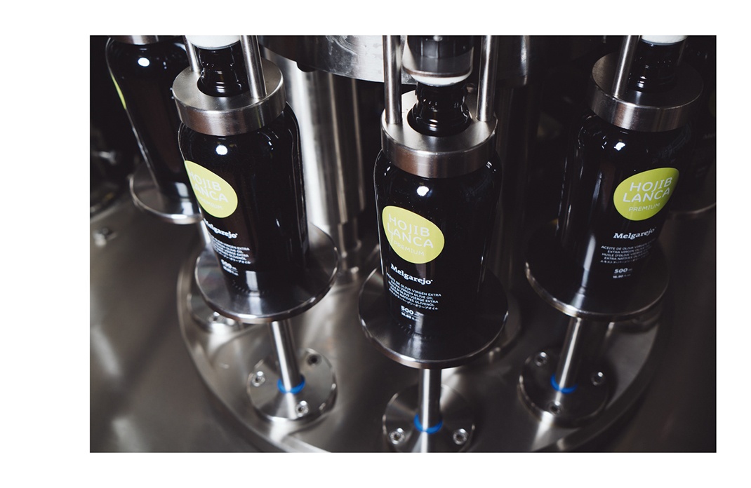 橄榄油包装设计 橄榄油包装设计