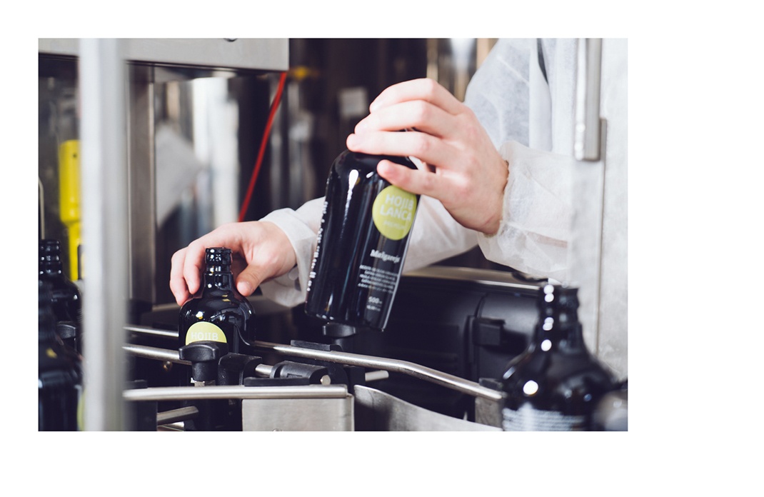 橄榄油品牌形象 橄榄油品牌形象