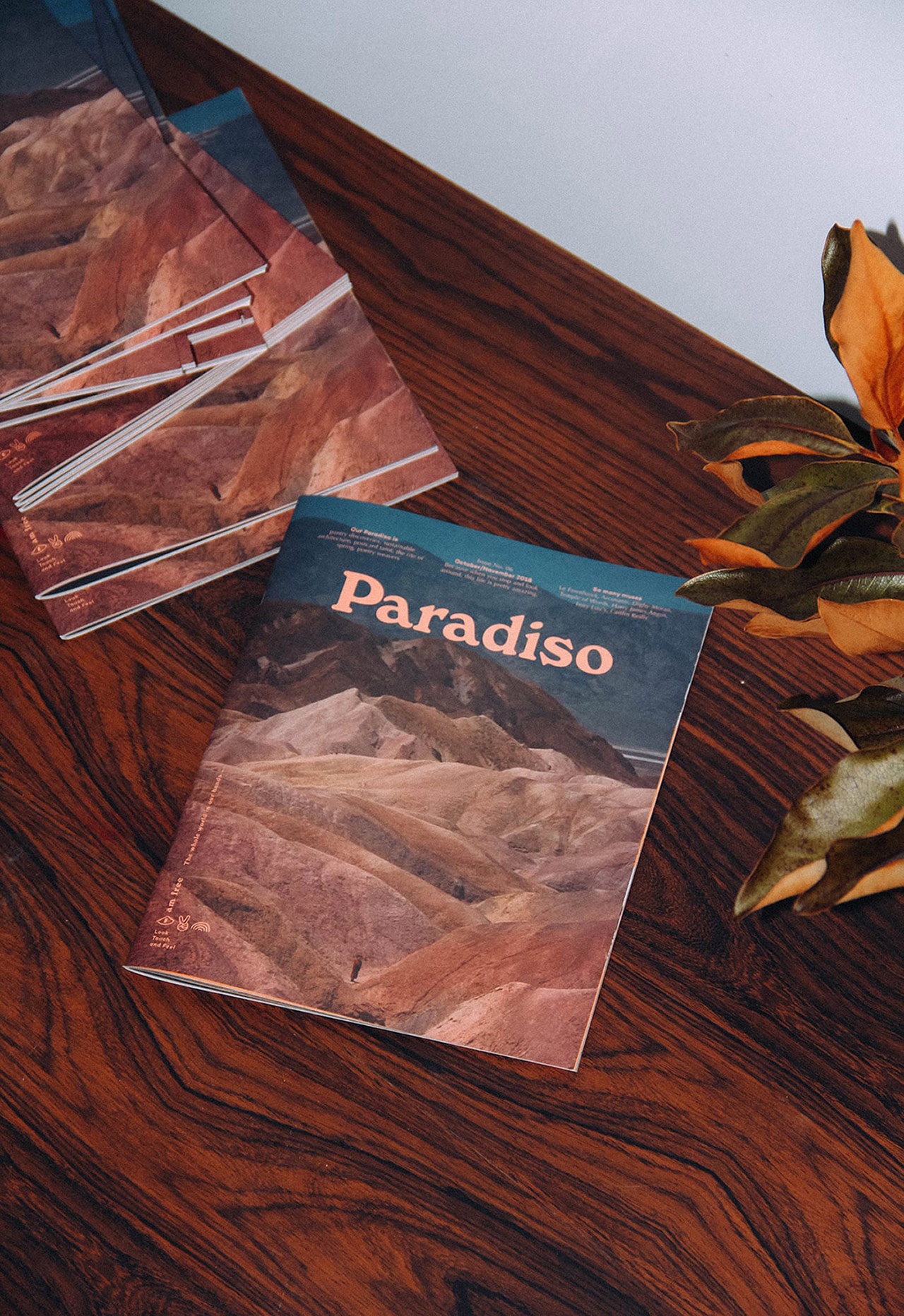 杂志设计 杂志设计