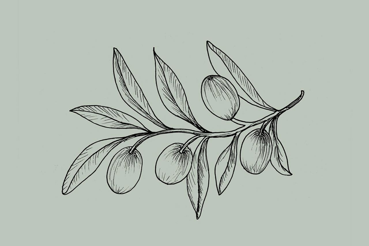 护肤品包装设计 护肤品包装设计