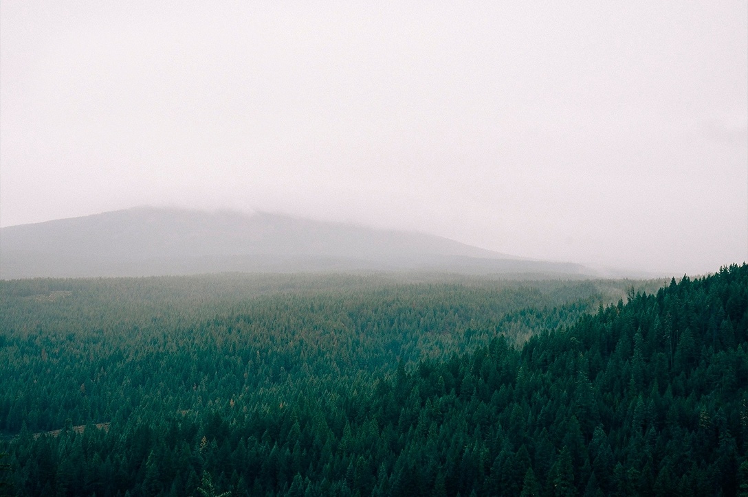 农产品品牌设计 农产品品牌设计